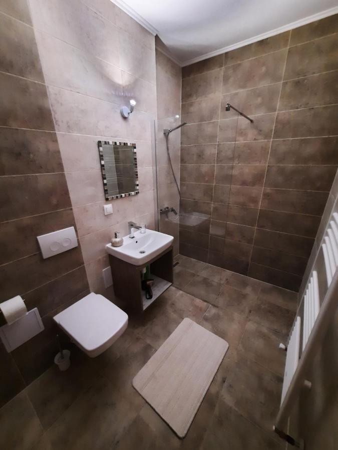 New Grey Residence Apartament Târgu-Mureş 外观 照片