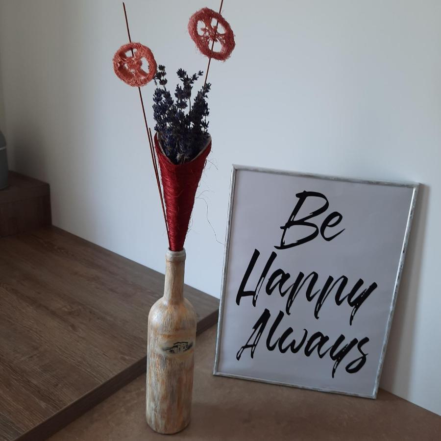 New Grey Residence Apartament Târgu-Mureş 外观 照片
